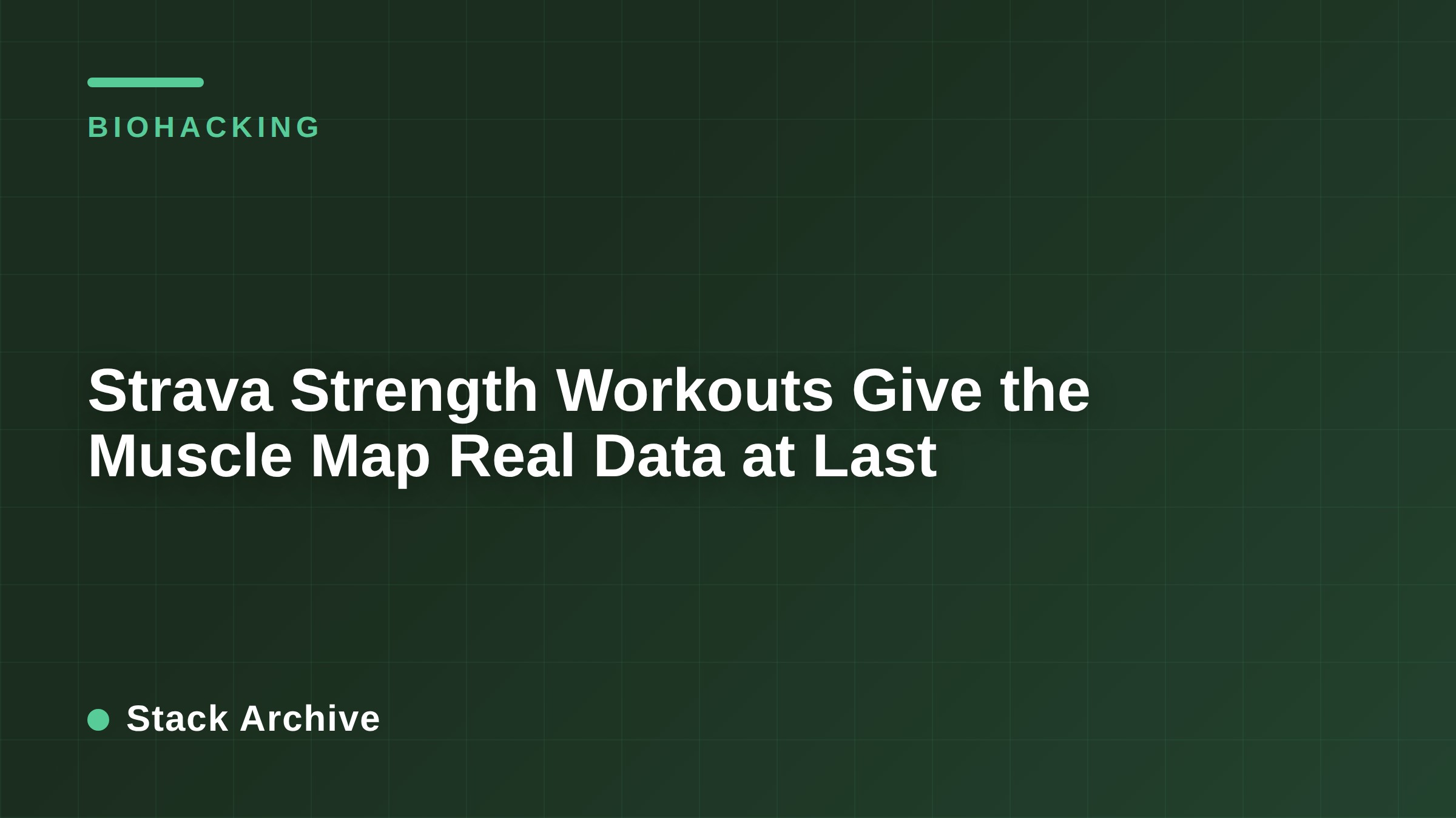 Strava Strength Workouts Give the Muscle Map Real Data at Last